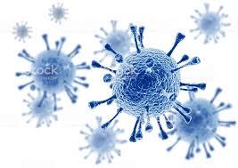 PROCEDURE : Quid des délais de procédure pendant le confinement Coronavirus